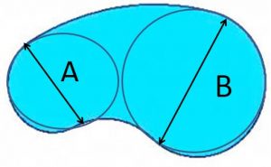 kidney-shape-object